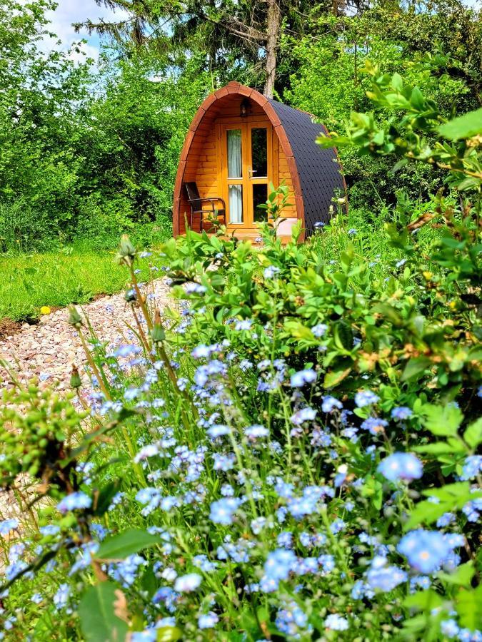 Apartmán Pods Alte Schule Elchweiler Exteriér fotografie