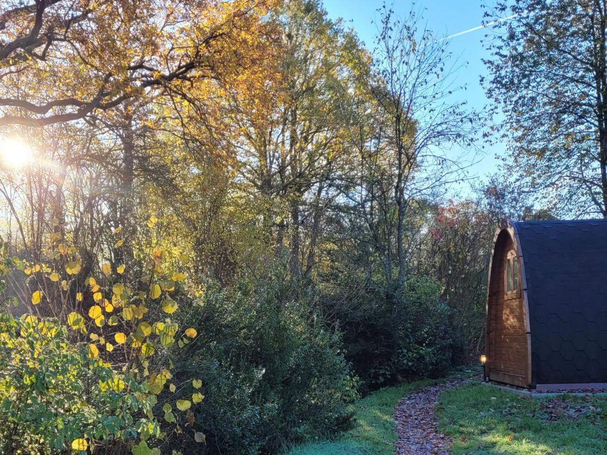 Apartmán Pods Alte Schule Elchweiler Exteriér fotografie
