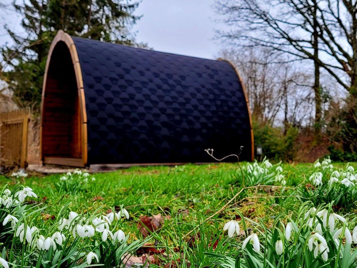 Apartmán Pods Alte Schule Elchweiler Exteriér fotografie