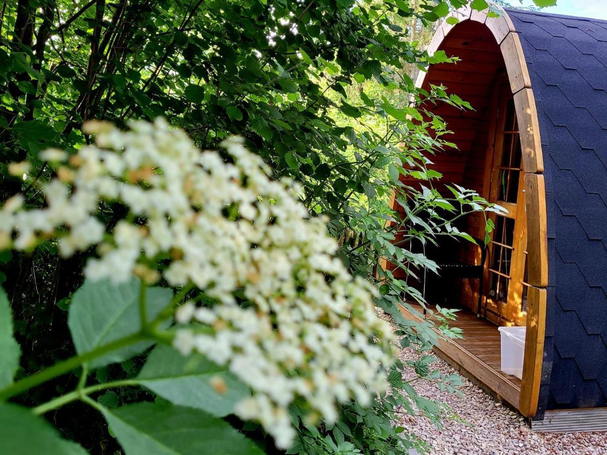 Apartmán Pods Alte Schule Elchweiler Exteriér fotografie
